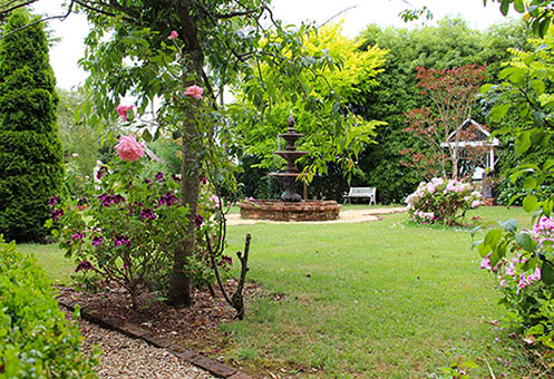 Willow Lodge's garden